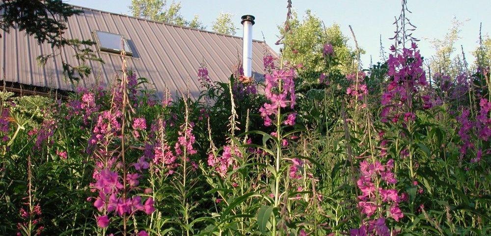 Juneberry Lodge Homer Exterior foto